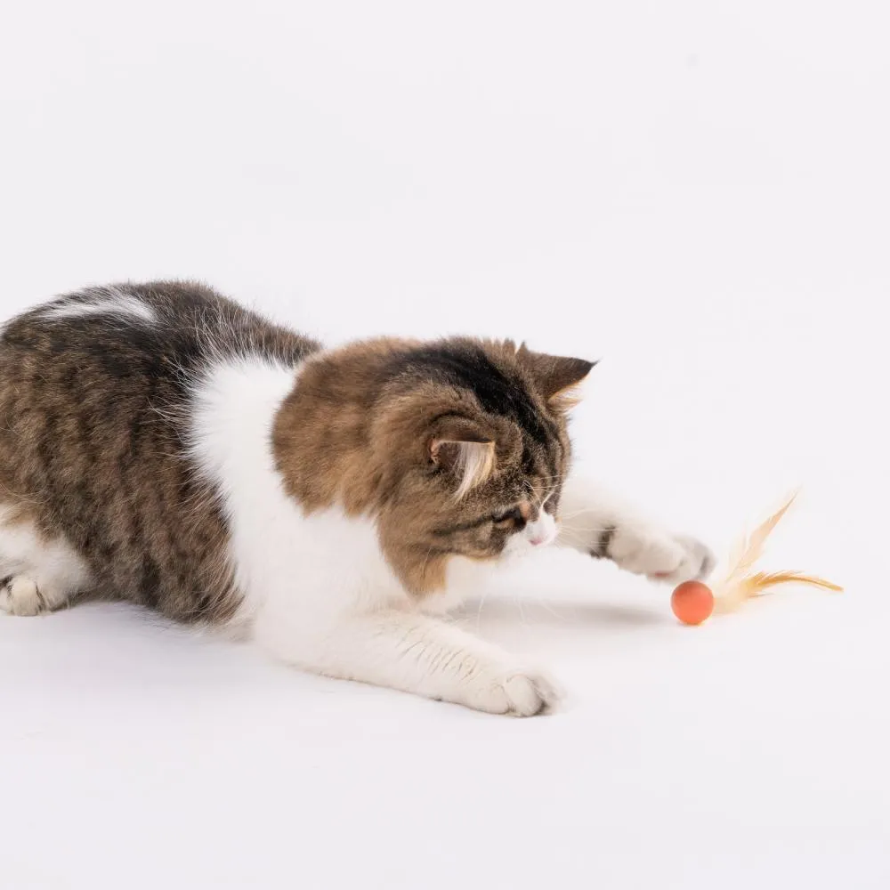 pidan - Bouncy Ball for Cat
