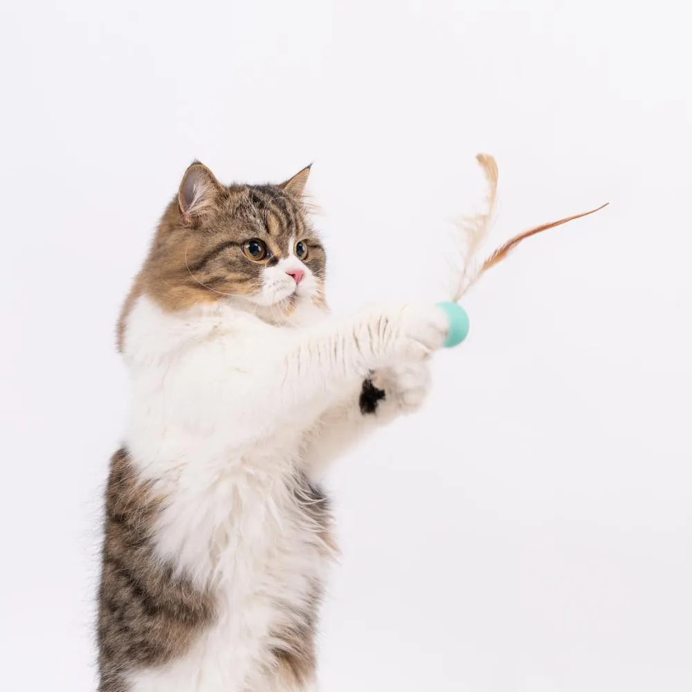 pidan - Bouncy Ball for Cat