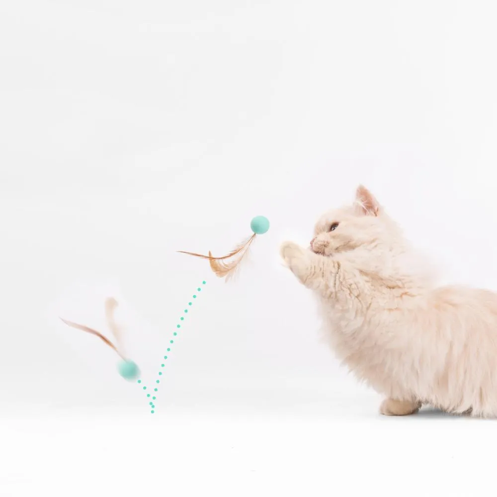 pidan - Bouncy Ball for Cat