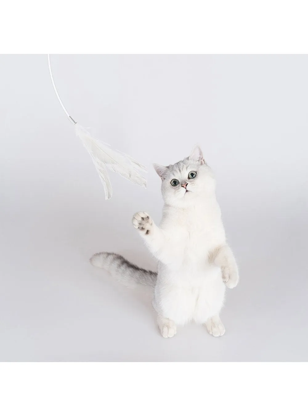 pidan - Long Cat Teaser Wand