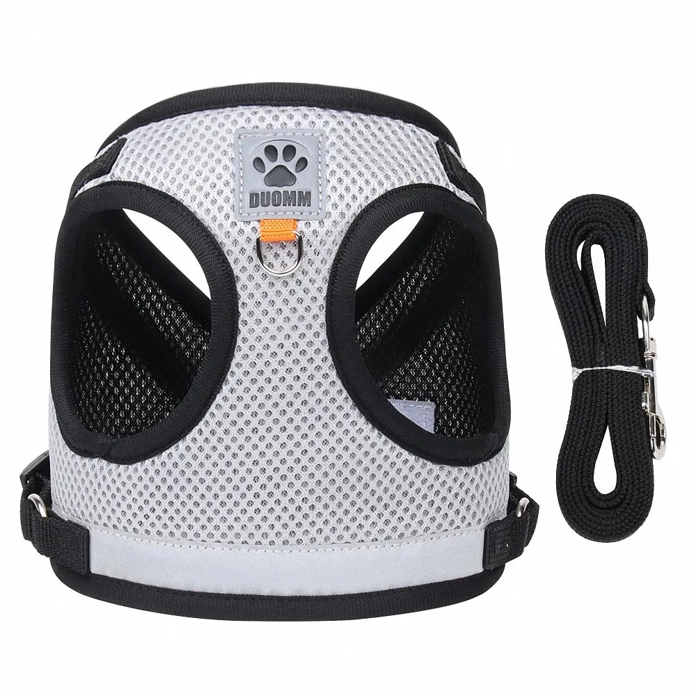 Reflective Nylon Dog Harness and Leash Set for Small to Medium Dogs and Cats