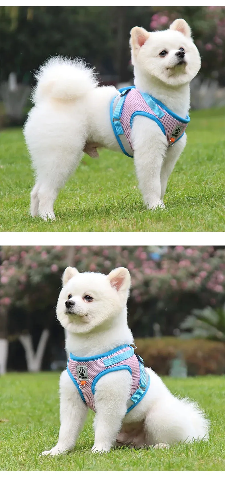 Reflective Nylon Dog Harness and Leash Set for Small to Medium Dogs and Cats