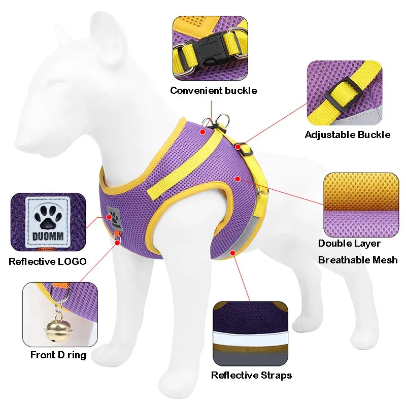 Reflective Nylon Dog Harness and Leash Set for Small to Medium Dogs and Cats