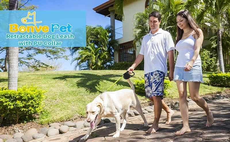 Retractable Dog Leash with Reflective Strip - 5m, for Dogs up to 20kg