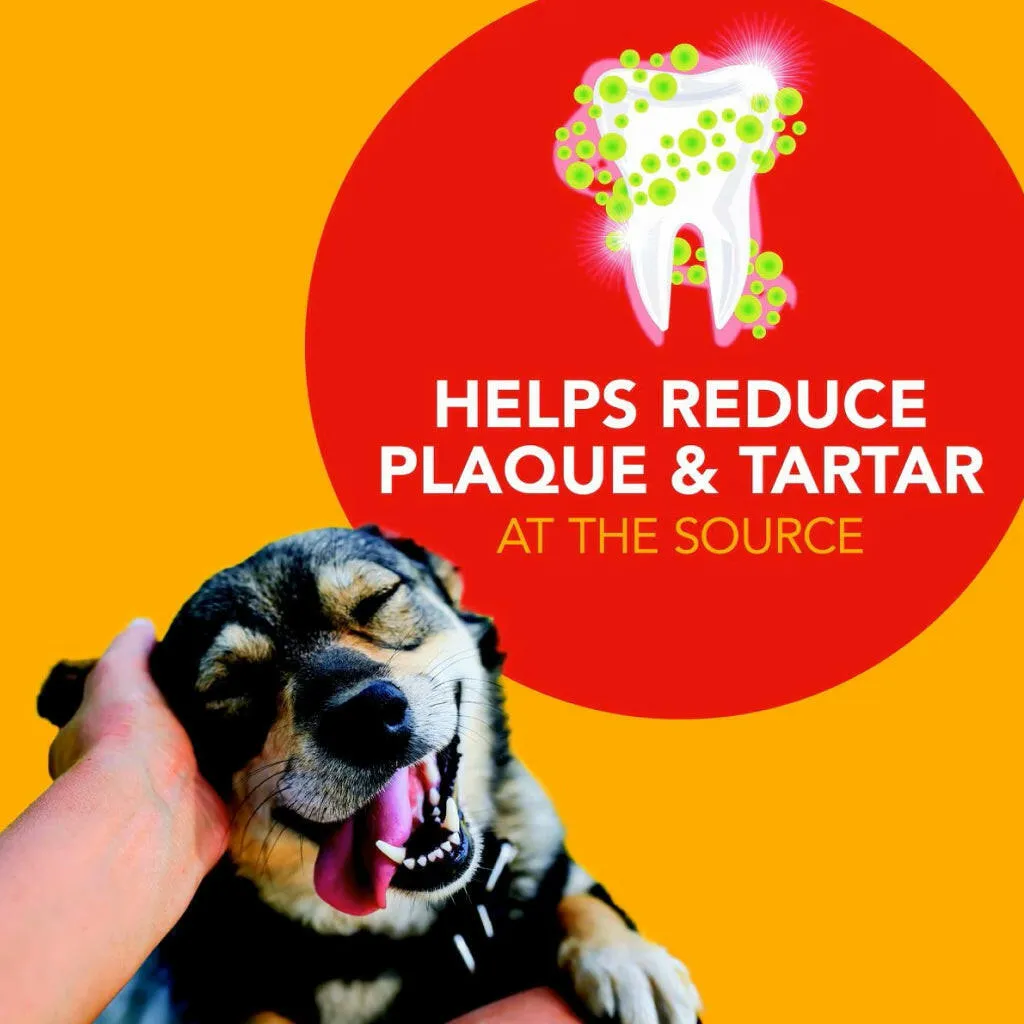 Sentry Petrodex Advanced Peanut Butter Flavored Dental Kit for Dogs
