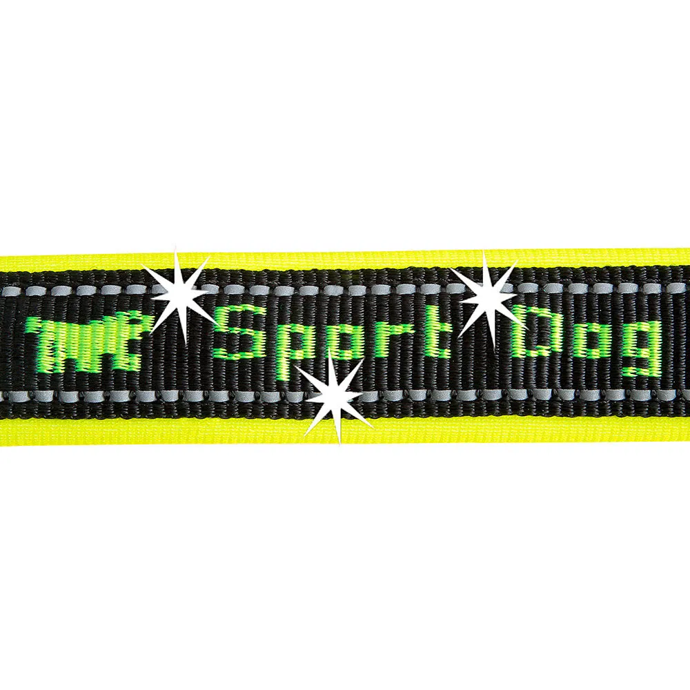 SPORT DOG GA