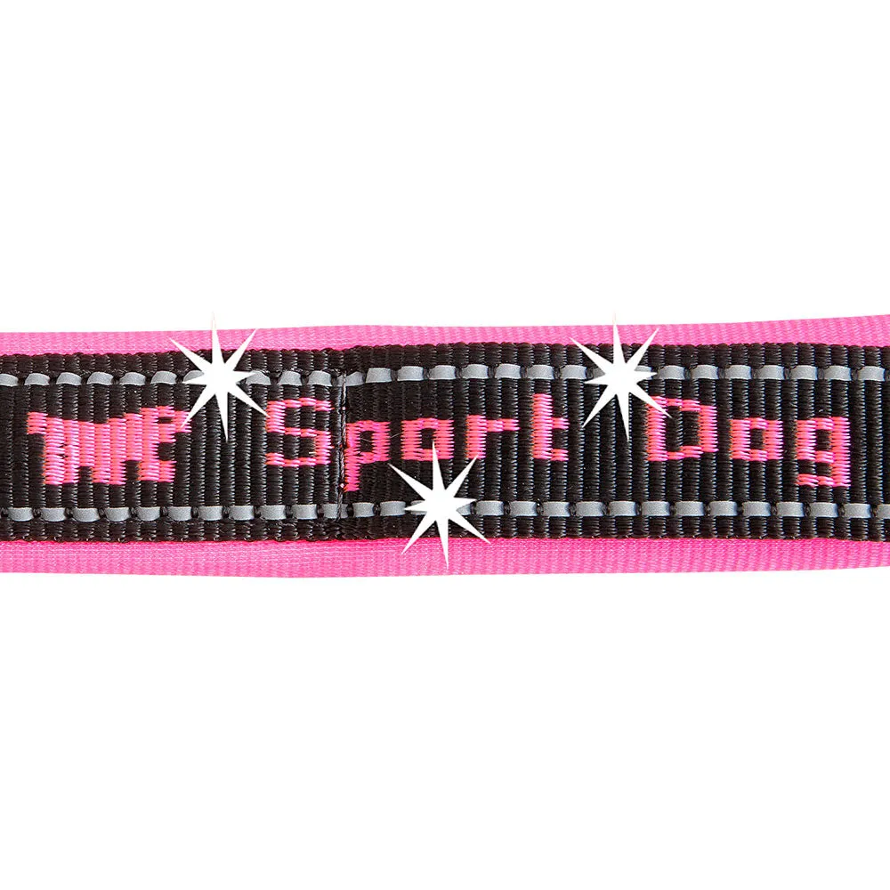 SPORT DOG GA