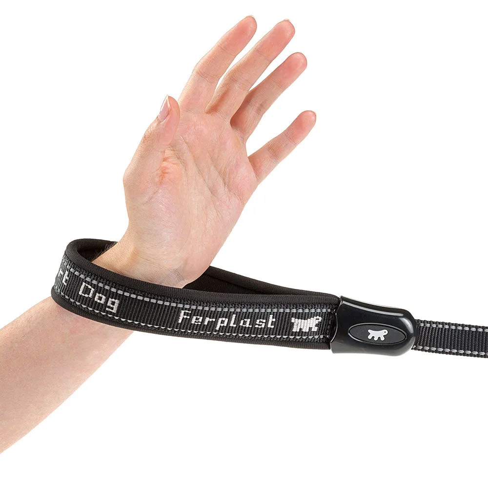 SPORT DOG GA