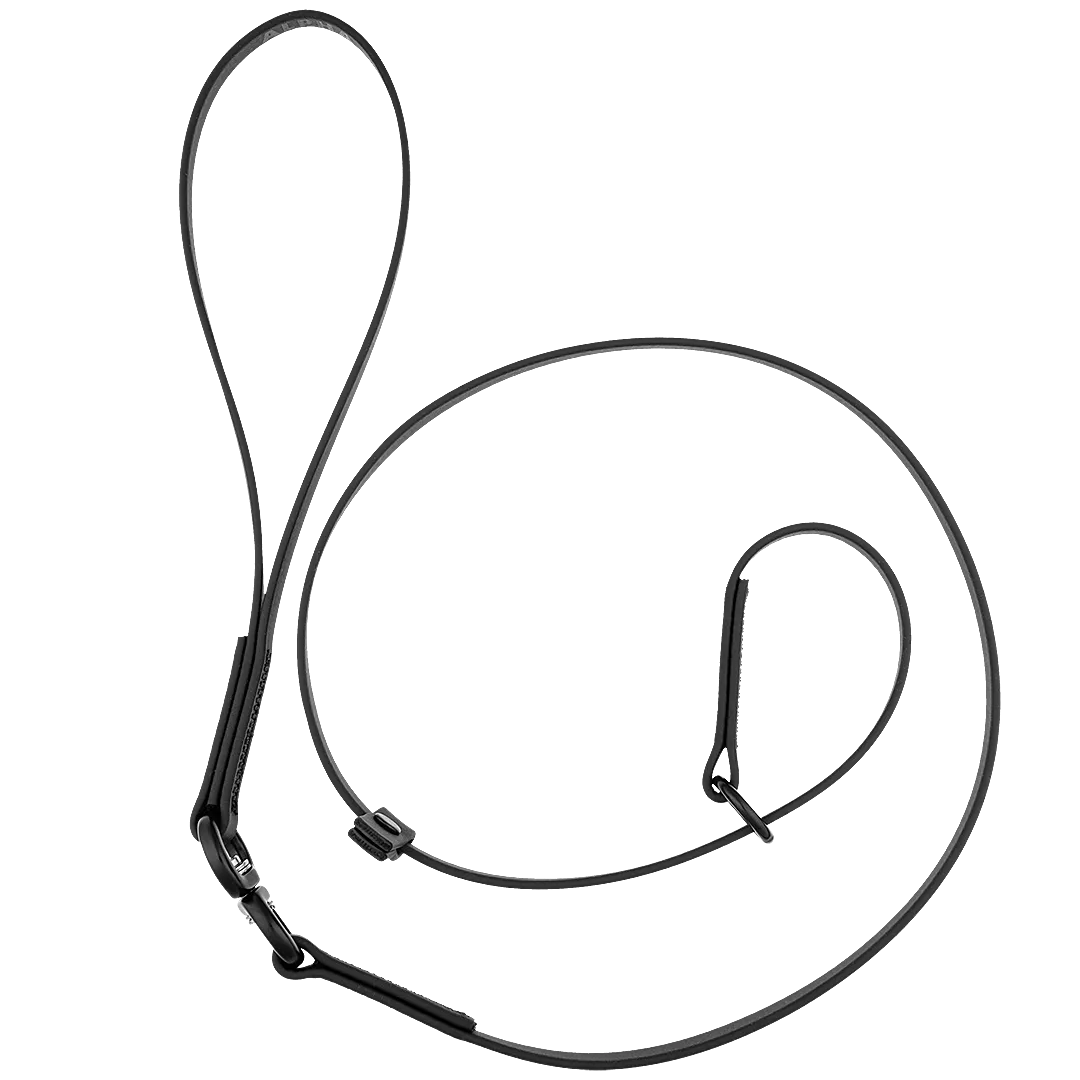 Swivel Slip Lead Black by Alpha Grooming