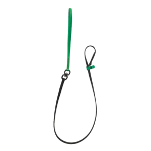 Swivel Slip Lead Lime Green by Alpha Grooming