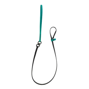 Swivel Slip Lead Teal by Alpha Grooming