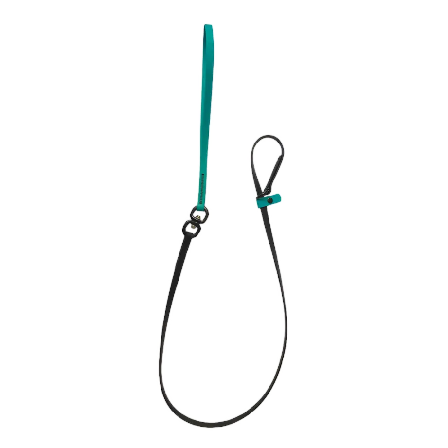 Swivel Slip Lead Teal by Alpha Grooming