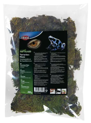 Terrarium Moss