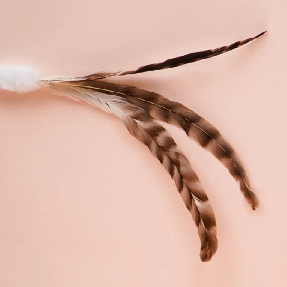 Three Chicken Cat Teaser